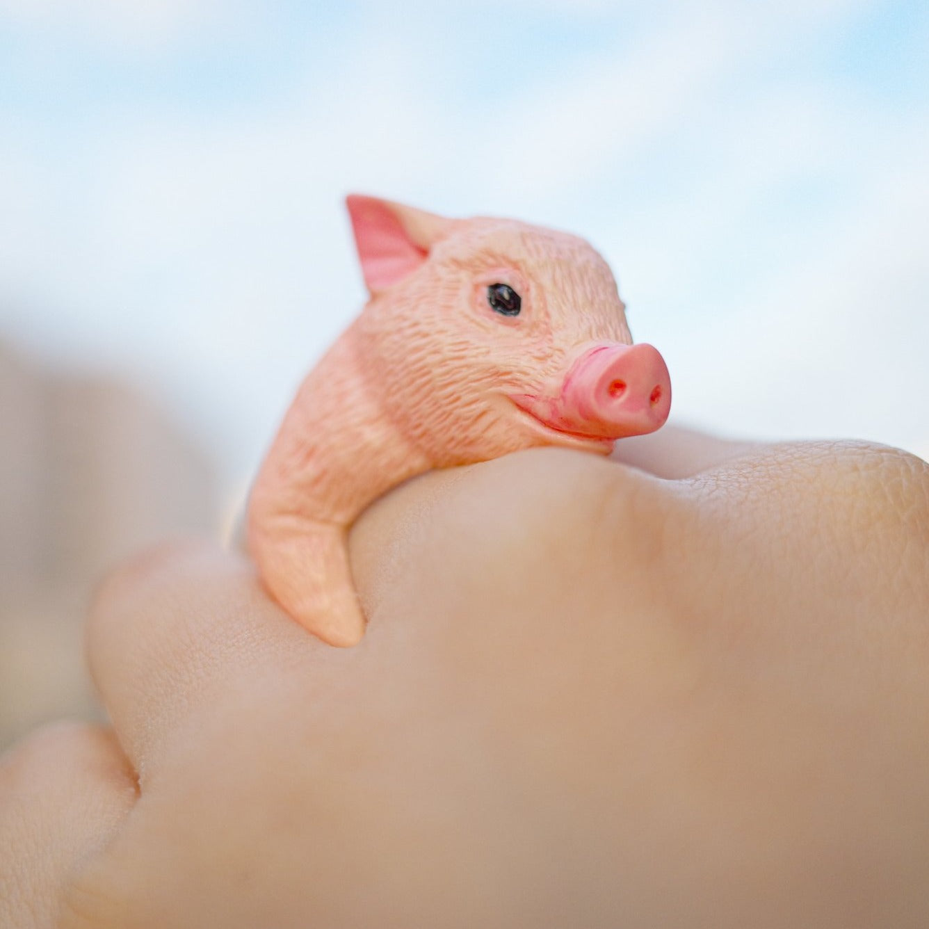動物雕刻戒指 - 豬